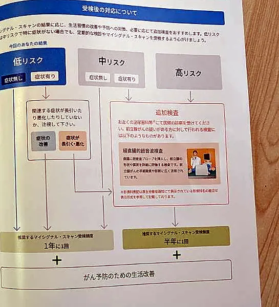 受検後の対応目安を示すフローサンプル