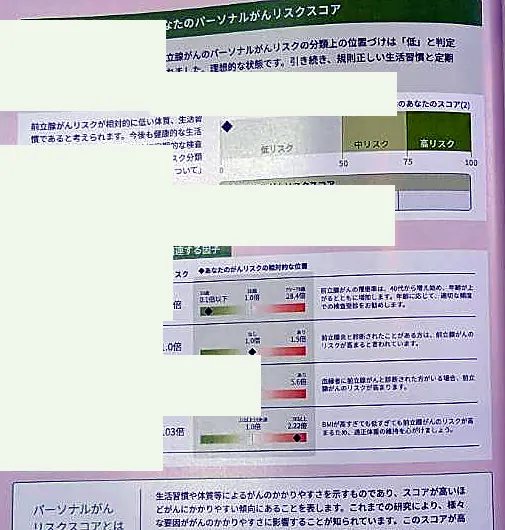 パーソナルがんリスクスコアのサンプル