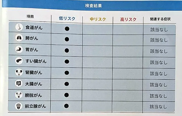 がん種別のリスク分類を示す結果表サンプル